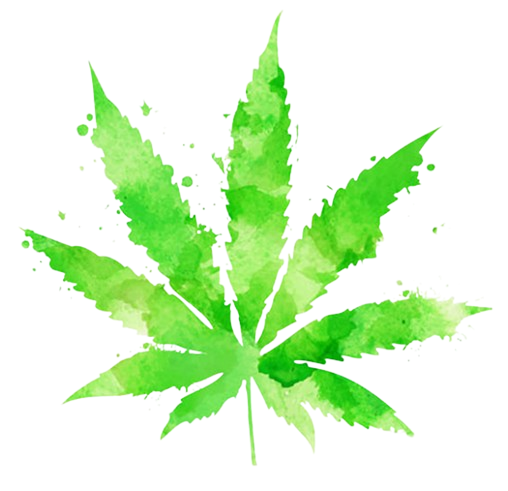 cannabis
